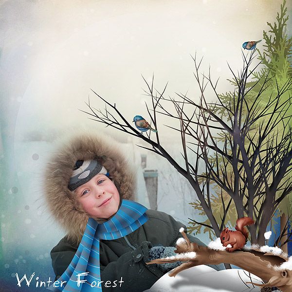 Winter forest 11.01.13  Qp-winter-forest-pp-1-600_zps97fd7425