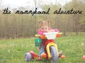 The Mommyhood Adventure