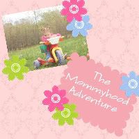 The Mommyhood Adventure