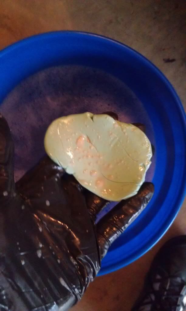 IMAG0283.jpg