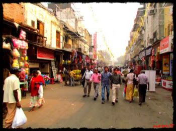 INDIA:  UN VIAJE DE SORPRESAS (Nov-Dic 2011) - Blogs de India - ENTRE EL ASOMBRO Y EL RECHAZO DE LA CAÓTICA DELHI (9)