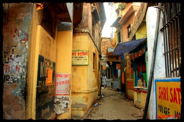 INDIA:  UN VIAJE DE SORPRESAS (Nov-Dic 2011) - Blogs de India - EMPEZANDO DE NUEVO EN LA ESPIRITUAL VARANASI (15)