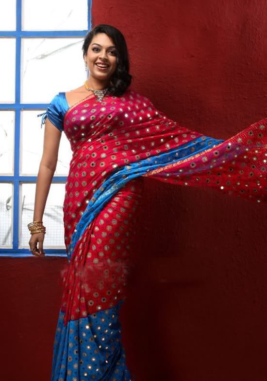 Malayalam,kerala,saree,sexy,actress,sexy actress,malayalam actress