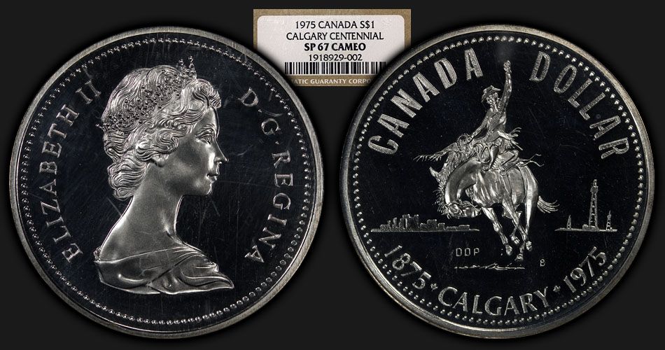Post-Your-Coins-With-Horses