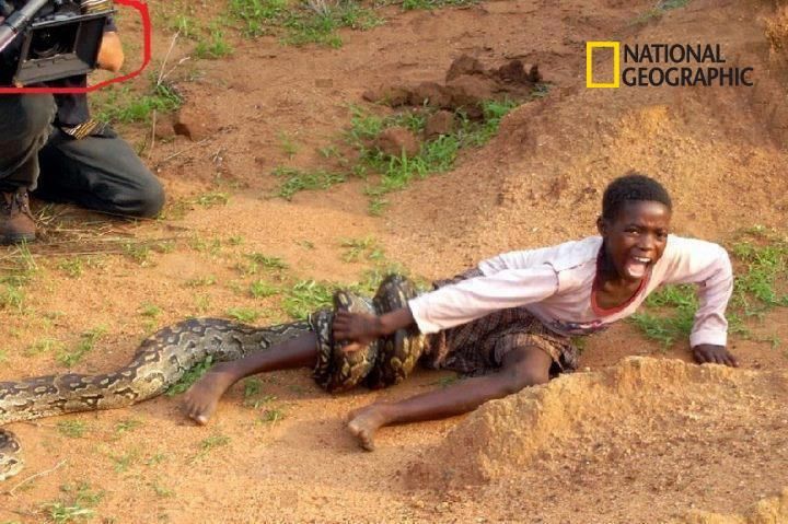 zzzzzzzzzzzsnakehaha.jpg