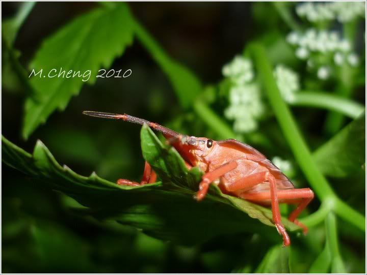 Picture:Click to zoom Picture:Click to zoom