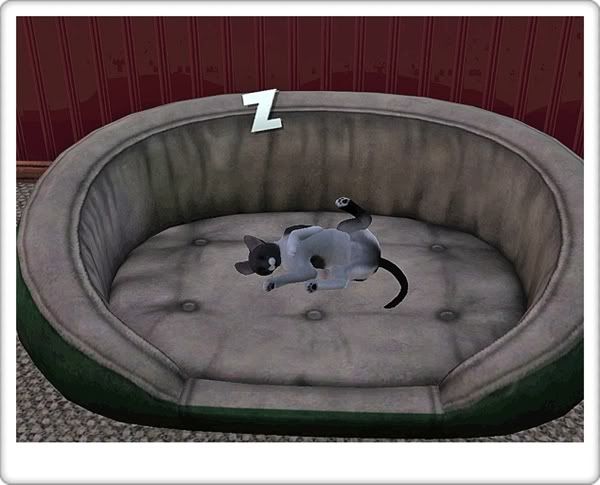 Screenshot-100.jpg