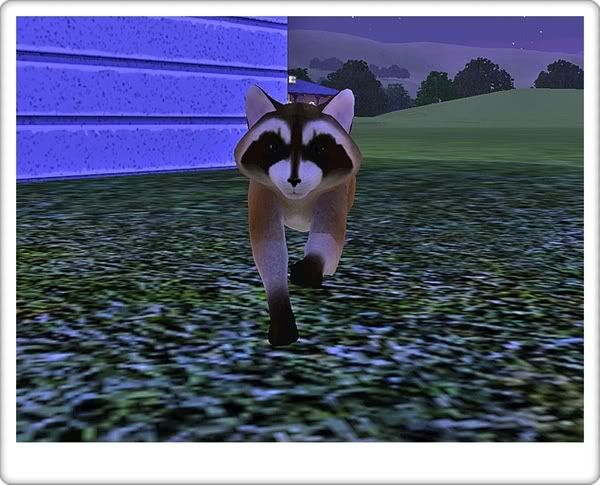 Screenshot-26.jpg