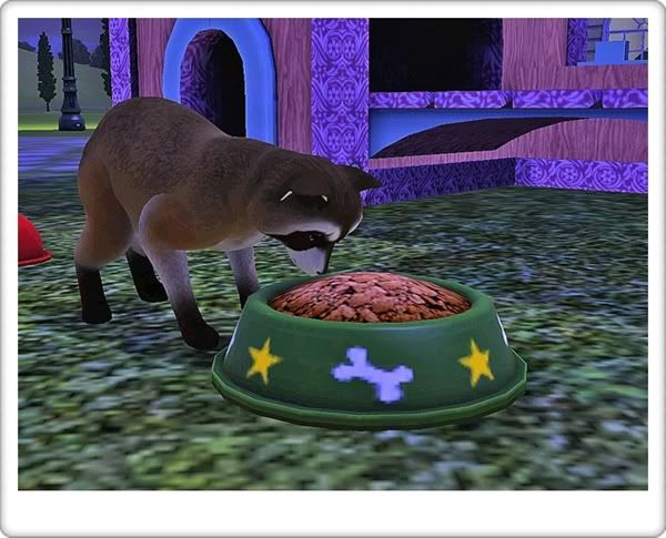Screenshot-27.jpg