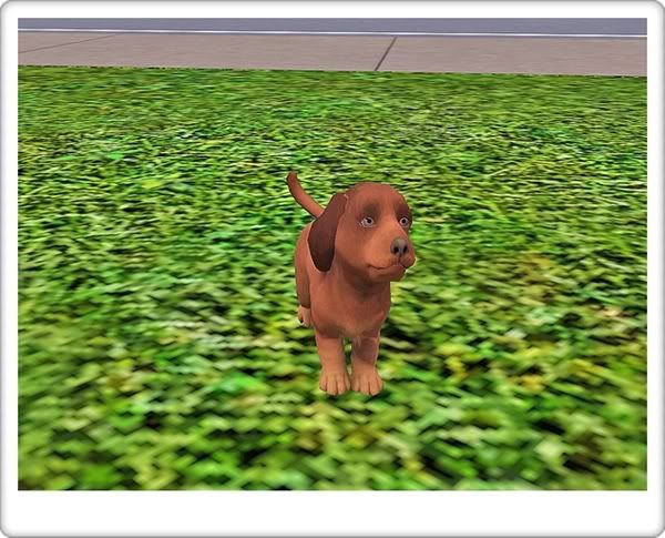 Screenshot-47.jpg