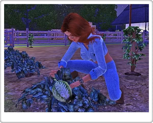 Screenshot-56.jpg