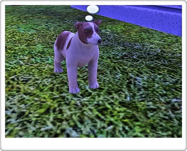 Screenshot-65.jpg