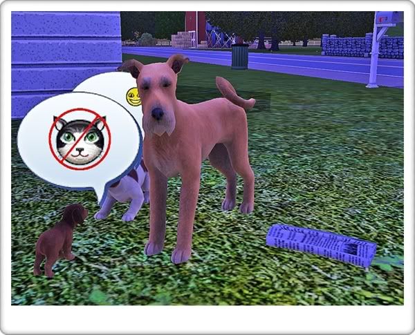 Screenshot-67.jpg