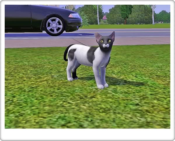 Screenshot-89.jpg