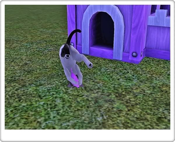 Screenshot-92.jpg