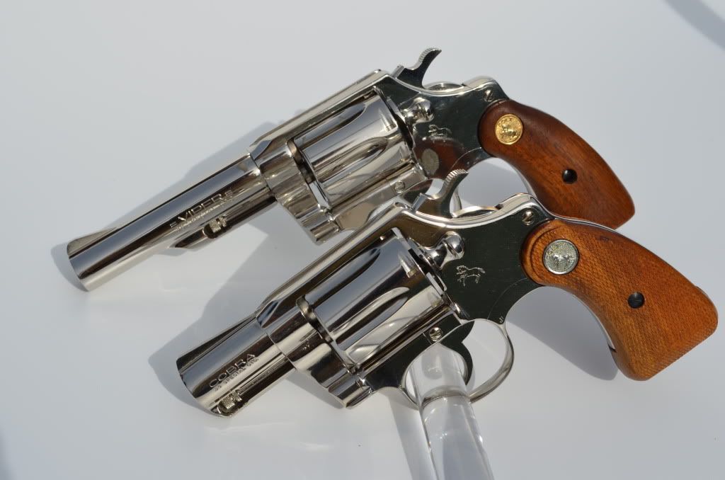 Second new Colt snake another Viper