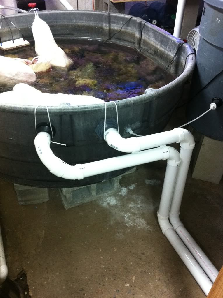 Can I see some Rubbermaid sumps Page 12 Reef Central Online Community