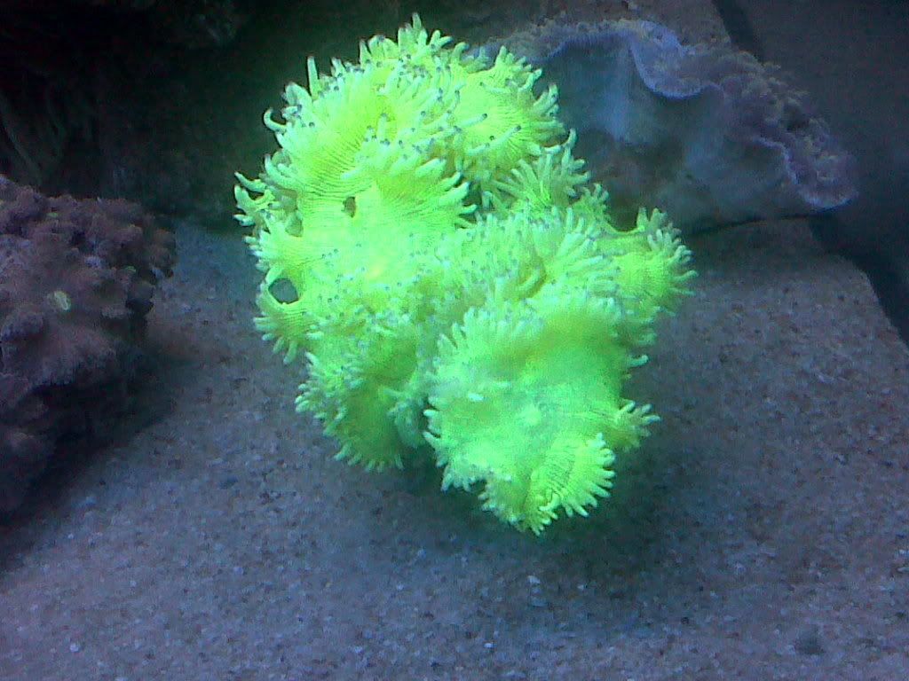 IMG00065-20120112-2143.jpg