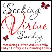 Seeking Virtue, Seeking Virtue Sunday, Christian, devotionals