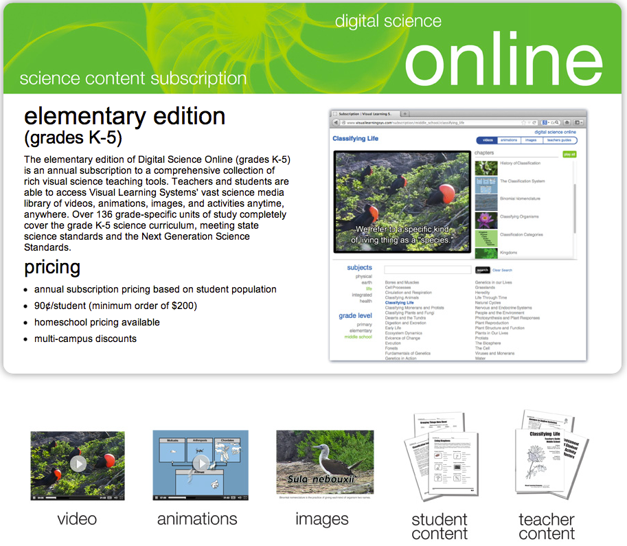 Visual Learning Systems Review