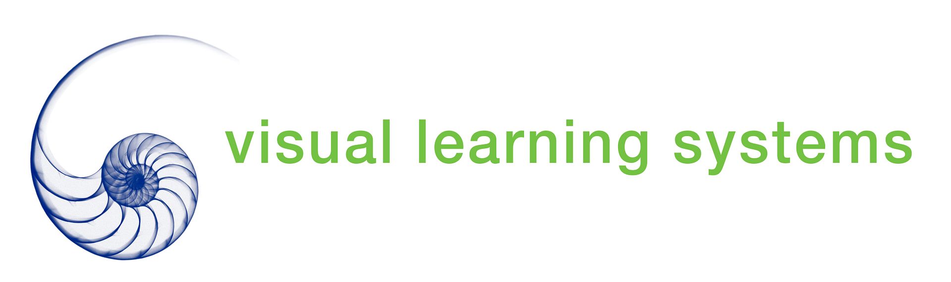 Visual Learning Systems Review