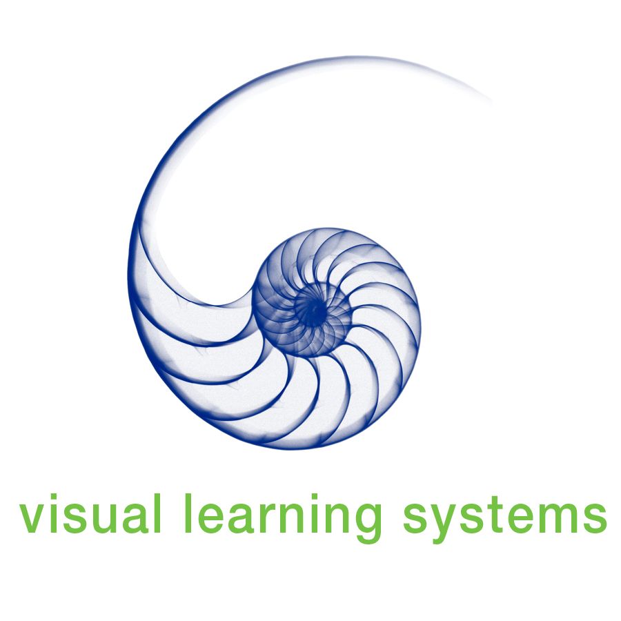 Visual Learning Systems Review