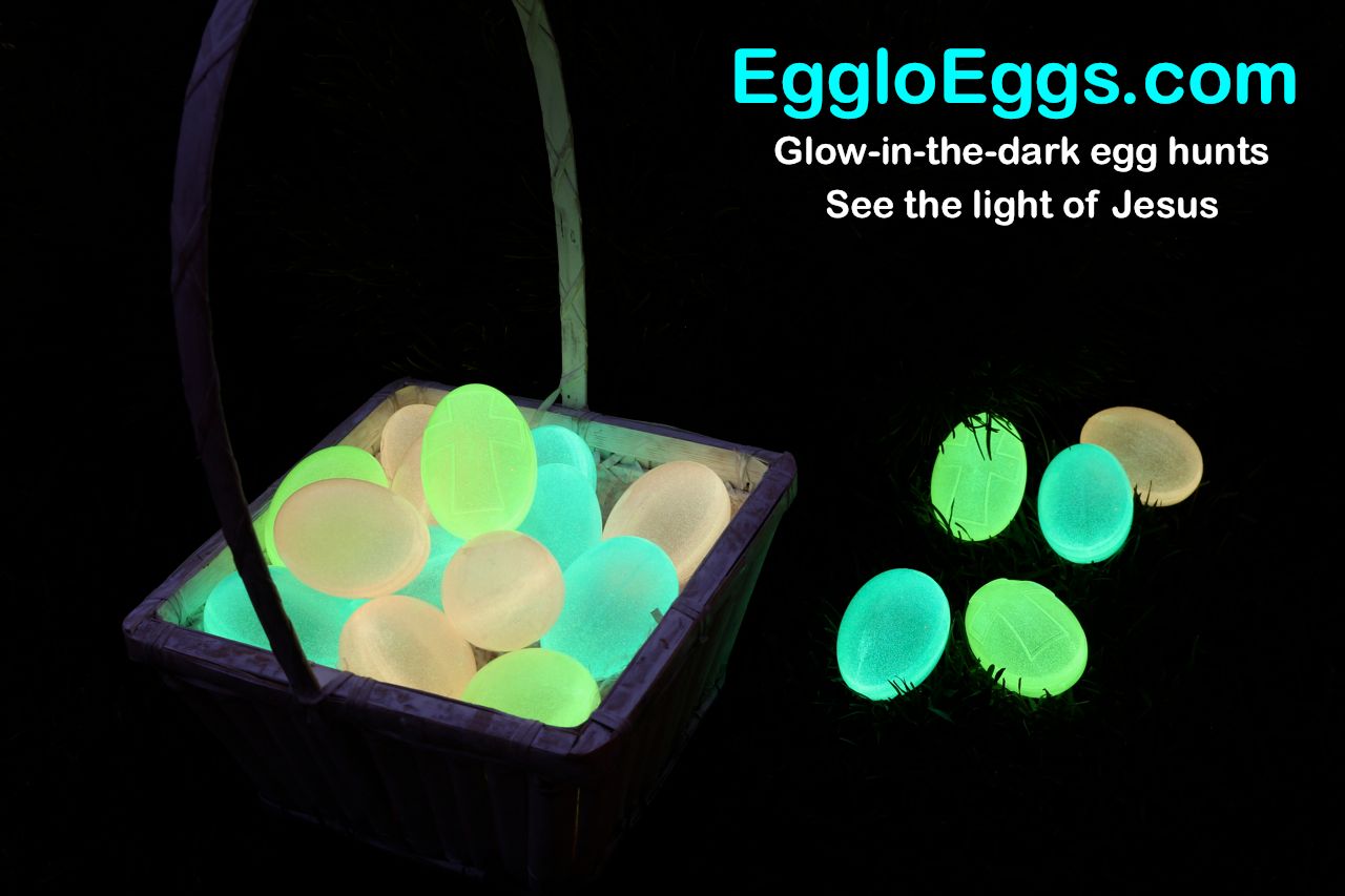 Egglo Review