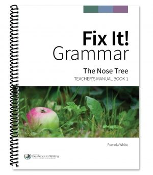 Fix It! Grammar Review