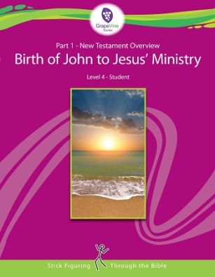 Birth of John to Jesus' Ministry {Grapevine Studies Review}