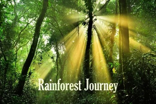 Rainforest Journey EdTechLens Review