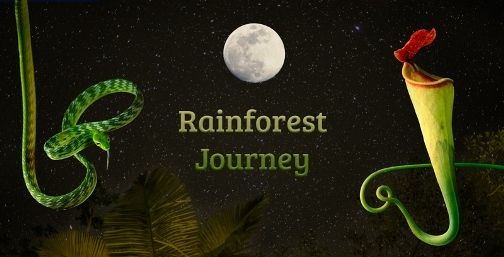 Rainforest Journey EdTechLens Review