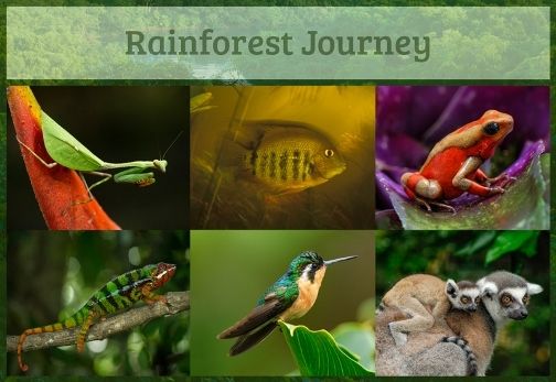 Rainforest Journey EdTechLens Review