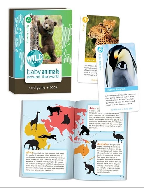 Wild Cards - Baby Animals Around the World photo Birdcage-wildcardsbabyanimals_zps7f8bf6b3.jpg