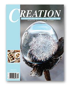 Winter 2012 Cover