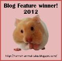 Blogfeaturewinner