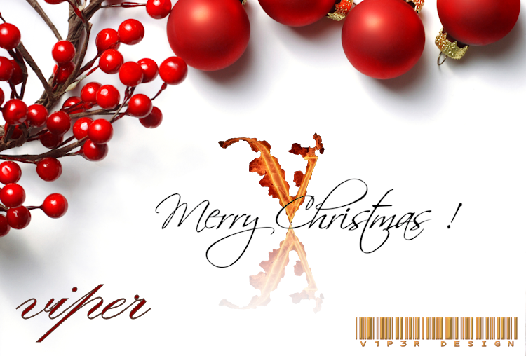  photo Christmas_Card_2014_zpsa0dd0b23.png