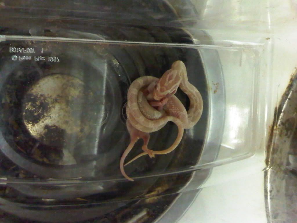 IMG-20111002-00158.jpg