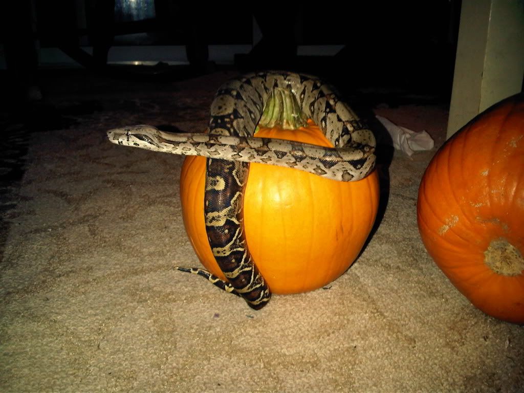 IMG-20111003-00163.jpg