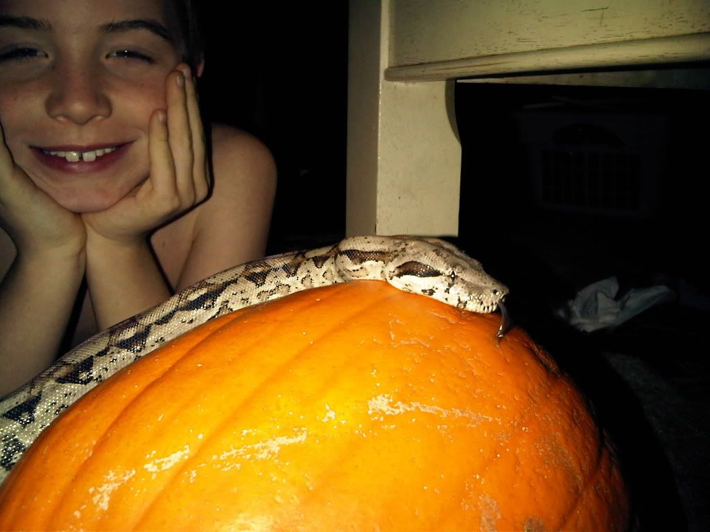 IMG-20111003-00171.jpg