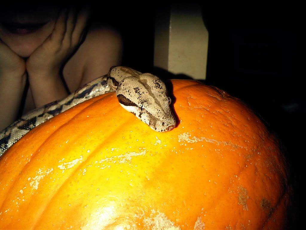 IMG-20111003-00173.jpg