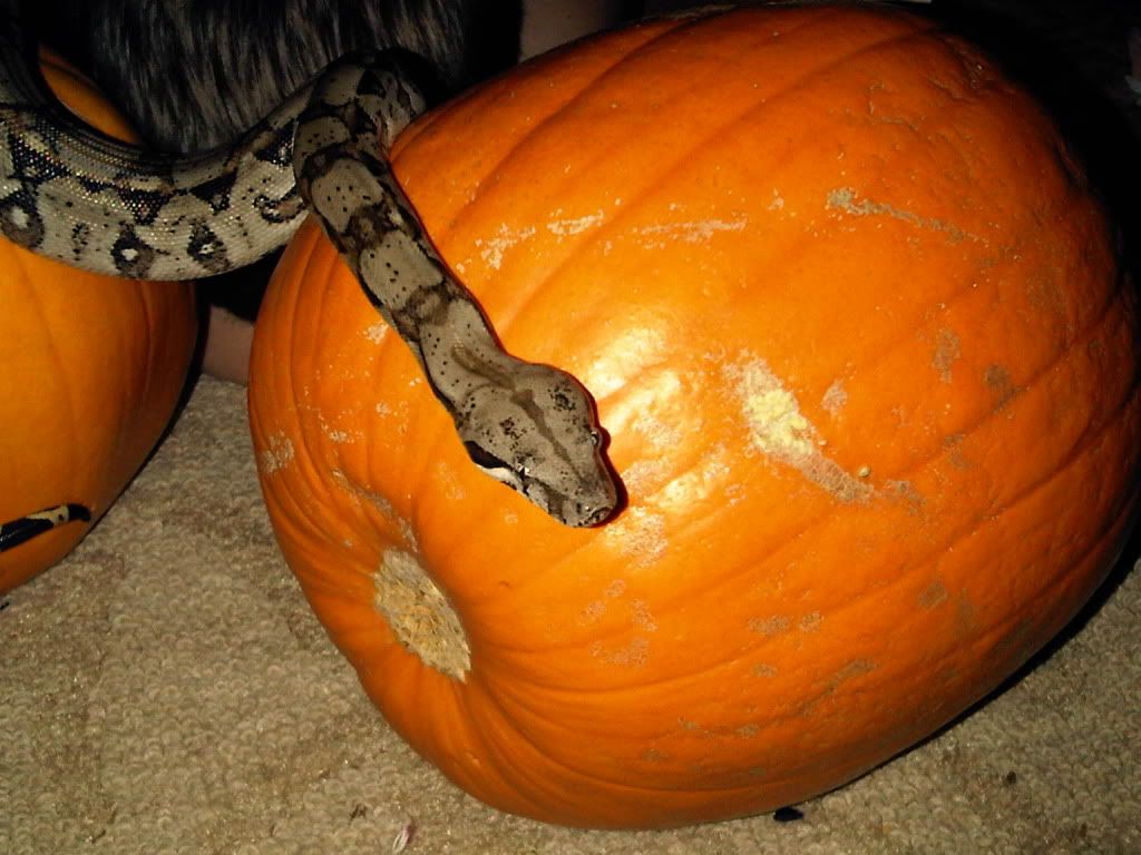 IMG-20111003-00175.jpg