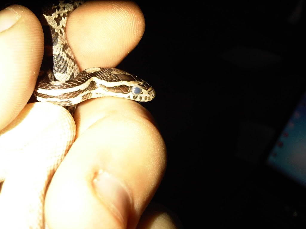 IMG-20111005-00178.jpg