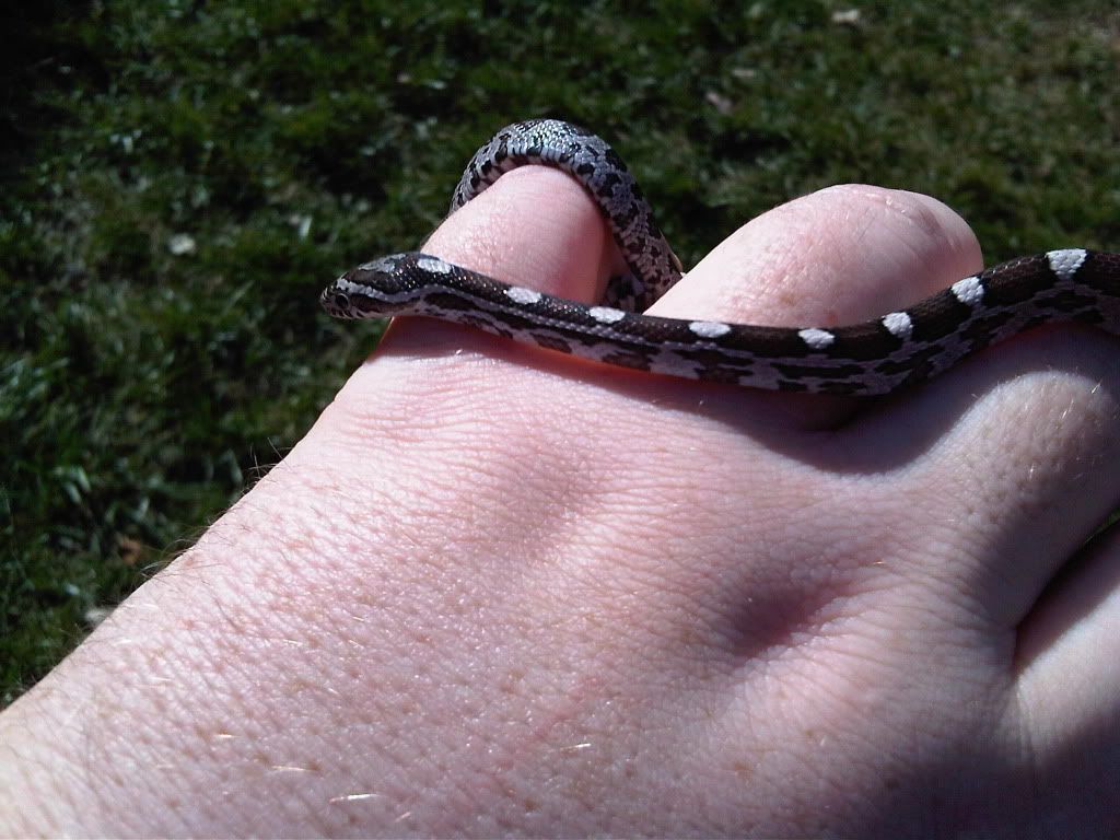 IMG-20111007-00234.jpg