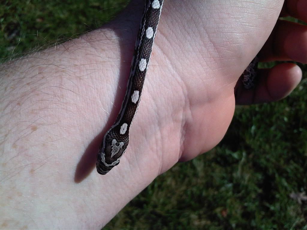 IMG-20111007-00245.jpg