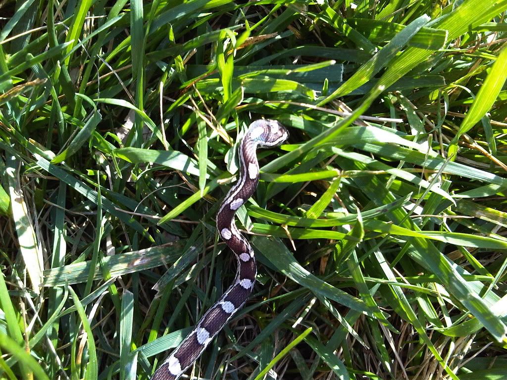 IMG-20111007-00246.jpg
