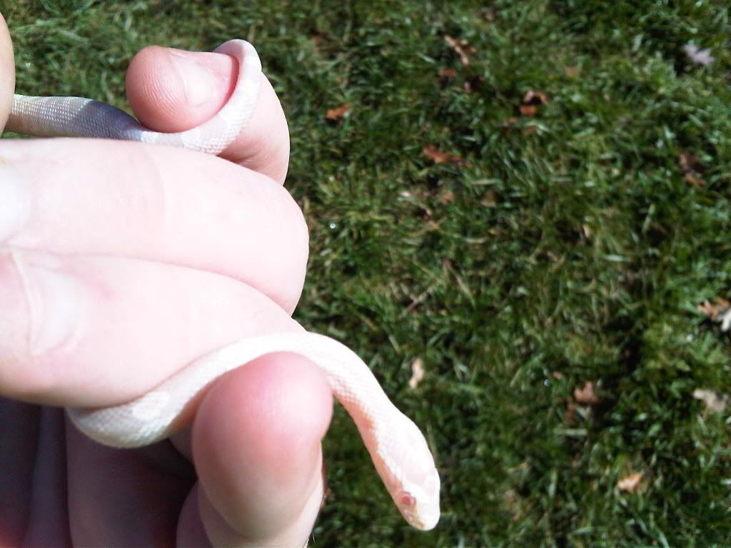 IMG-20111009-00259.jpg