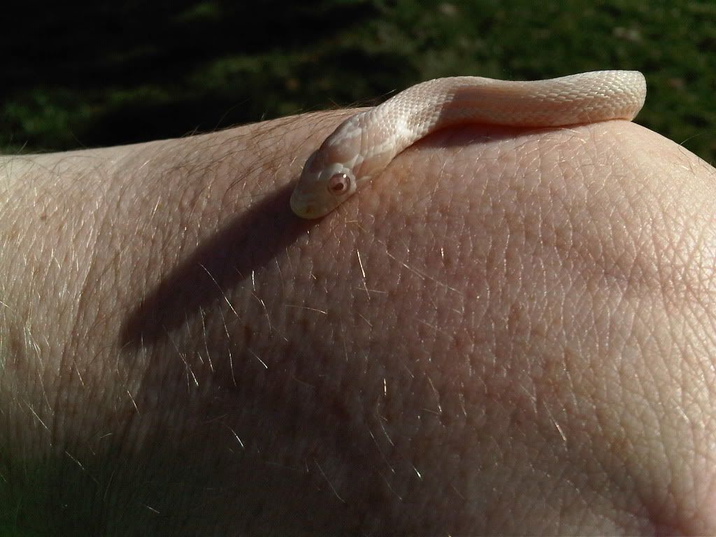 IMG-20111009-00272.jpg