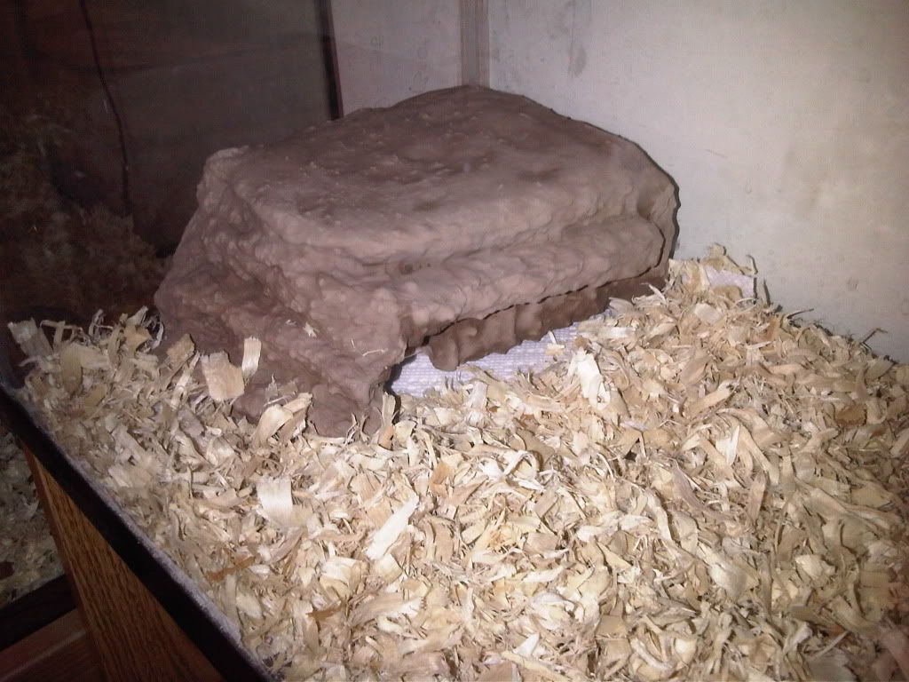 IMG-20111023-00370.jpg