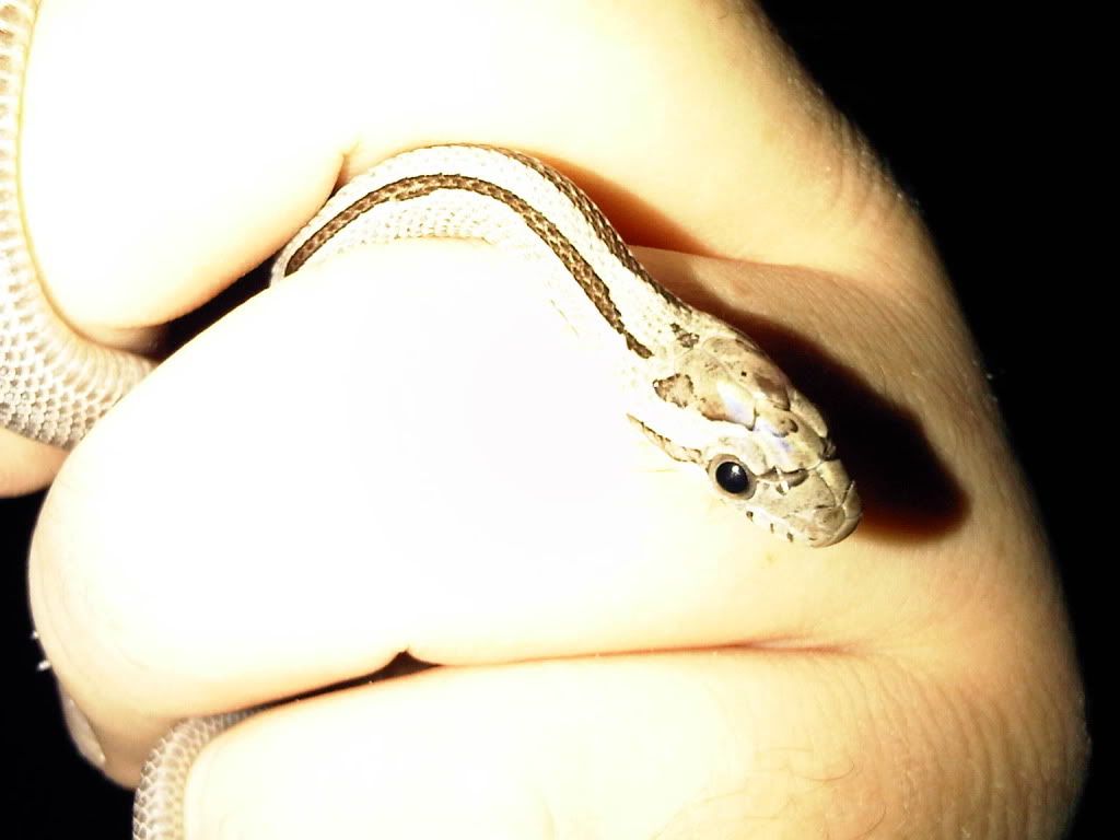 IMG-20111025-00422.jpg