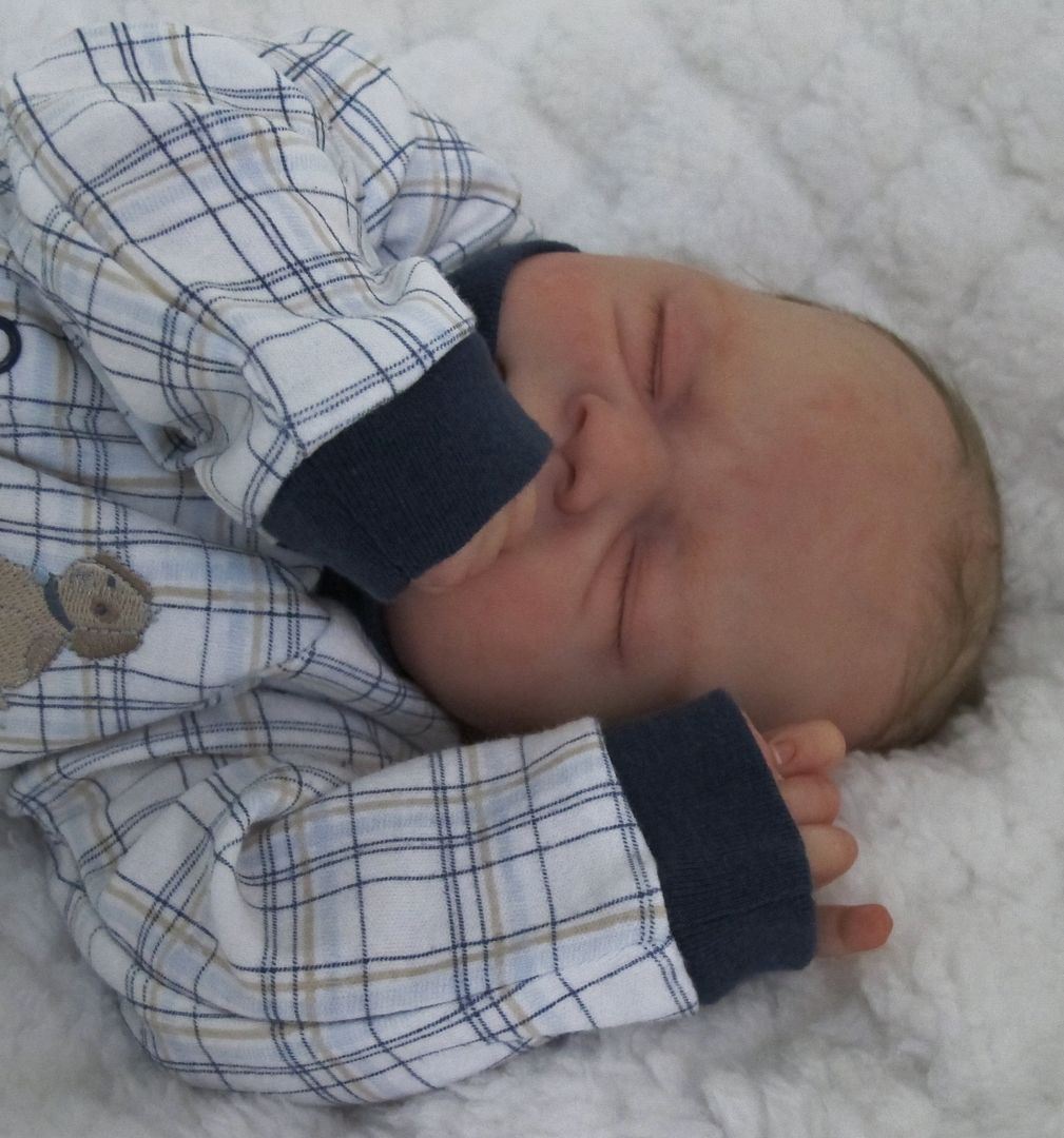 Doves Nursery Reborn Baby Boy Twin Baby of Prince George of Cambridge